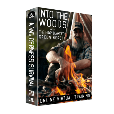 Into The Woods Online Streaming Into The Woods