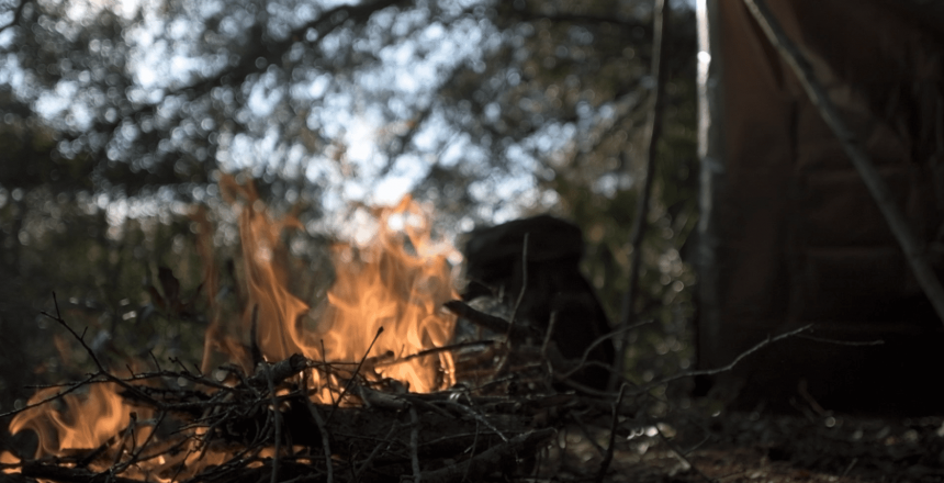 Bushcraft and survival - how do they differ in 2020?